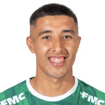 D. Gallardo